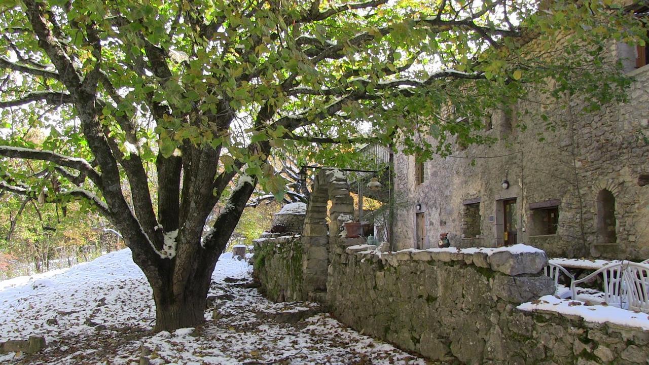 Danse L'Ombre Curel (Alpes-de-Haute-Provence) Bagian luar foto